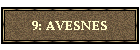 9: AVESNES
